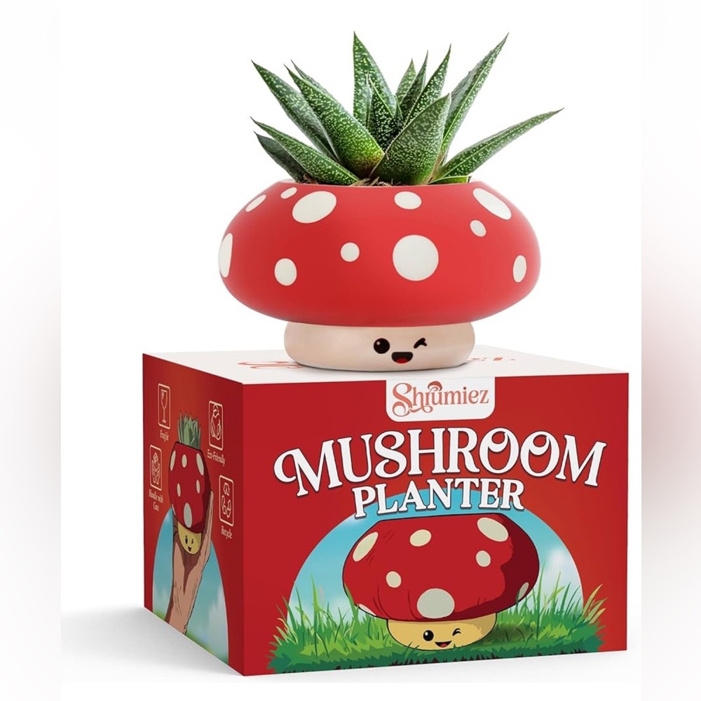 Shumiez Mushroom Planter, NIB 🍄 🌱